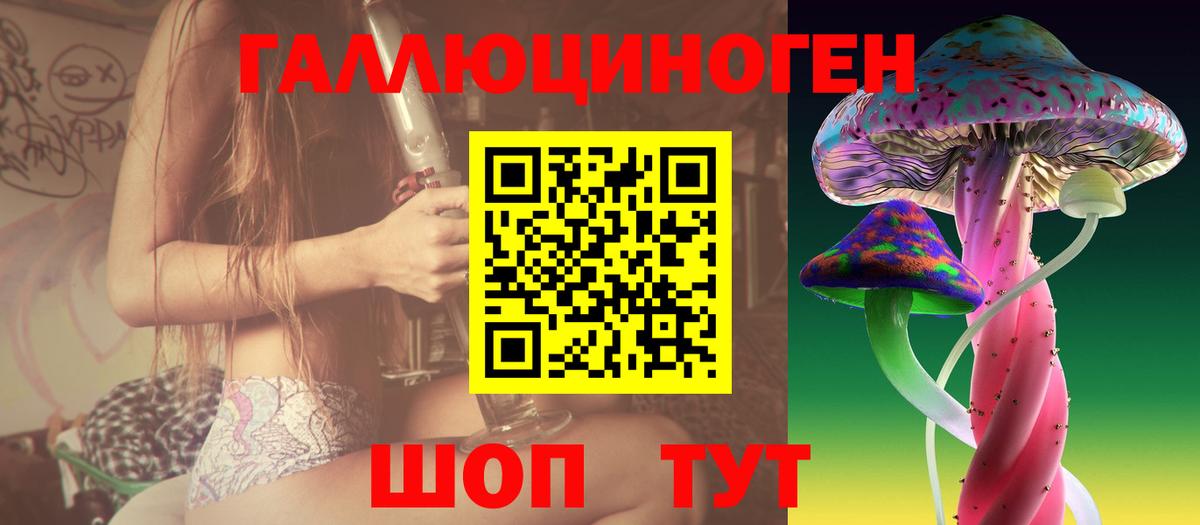 Псилоцибиновые грибы GOLDEN TEACHER Владикавказ