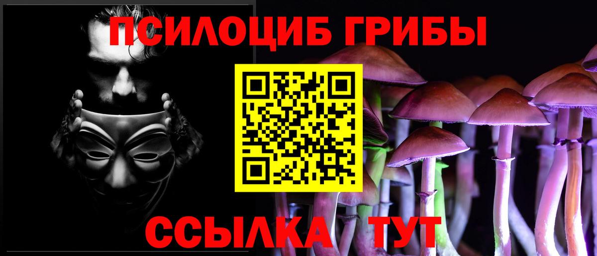 Галлюциногенные грибы прущие грибы  Вход с VPN  Владикавказ 