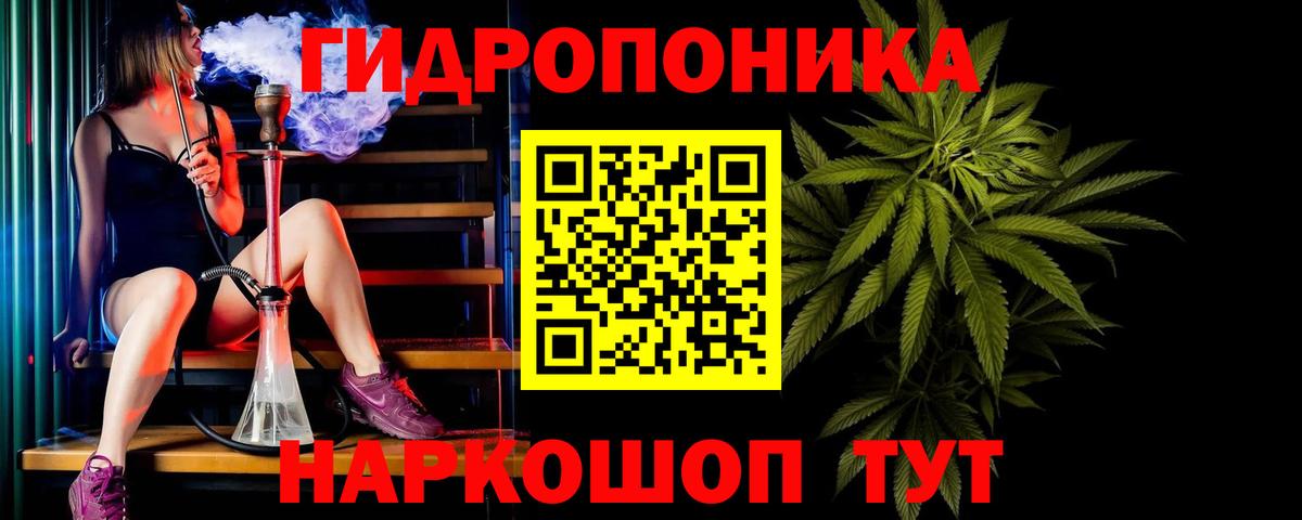 Бошки марихуана семена Владикавказ